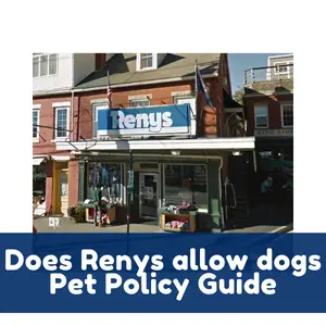 Does Roses allow dogs Pet Policy Guide