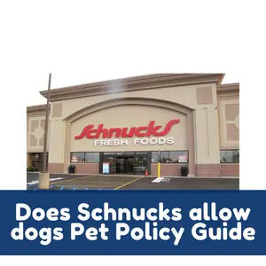 Does Schnucks allow dogs? Pet Policy Guide