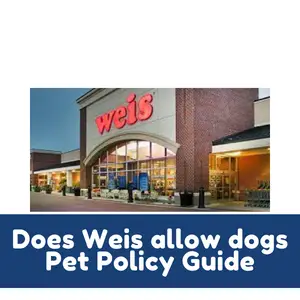 Does Weis allow dogs Pet Policy Guide