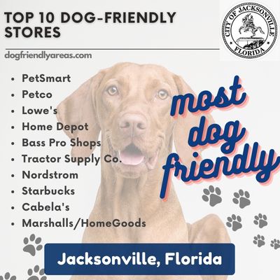 10 Most Dog Friendly Stores Jacksonville Florida