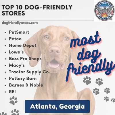 10 Most Dog Friendly Stores in Atlanta Georgia