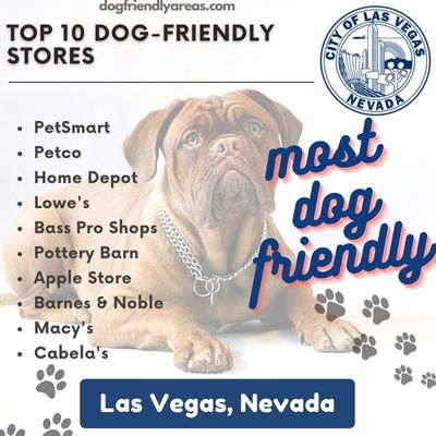 10 Most Dog Friendly Stores in Las Vegas Nevada
