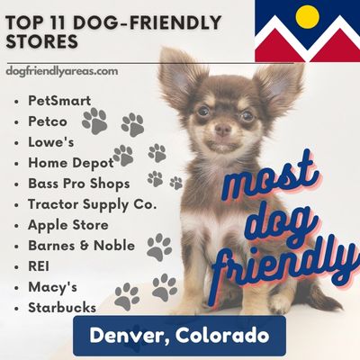 11 Most Dog Friendly Stores Denver Colorado