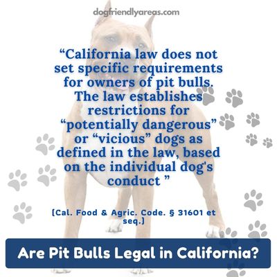 Are Pit Bulls Legal in California