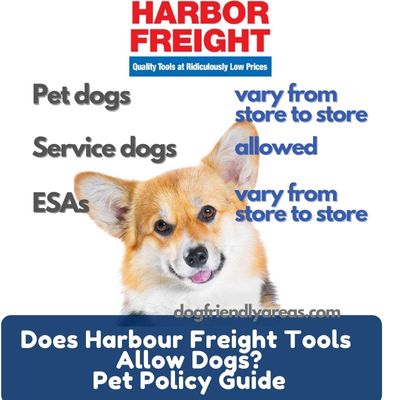 Does Harbour Freight Tools Allow Dogs