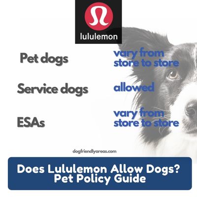 Does Lululemon Allow Dogs