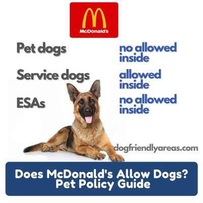 Does McDonalds Allow Dogs