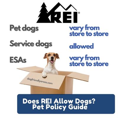 Does REI Allow Dogs