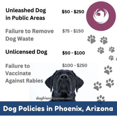 Dog Policies in Phoenix Arizona