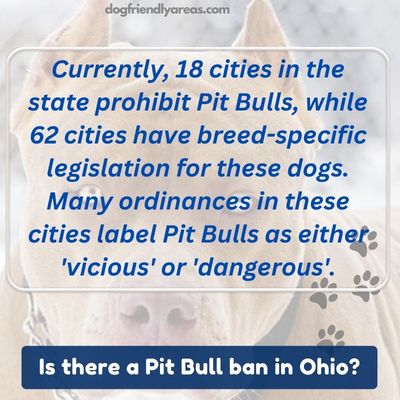 Is there a Pit Bull ban in Ohio