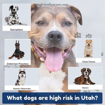 What dogs are high risk in Utah