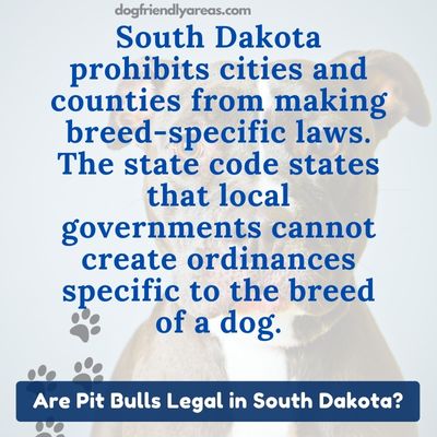 Are Pit Bulls Legal in South Dakota